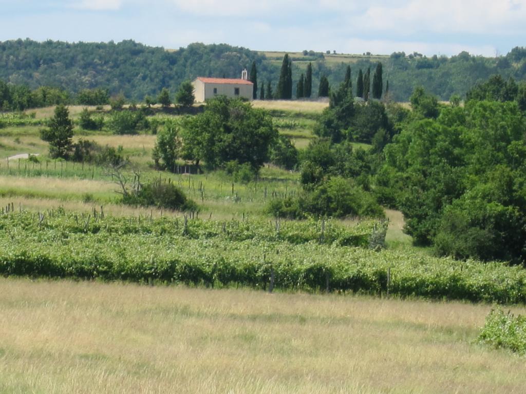 Flori Adriatic Villa Marezige Szoba fotó